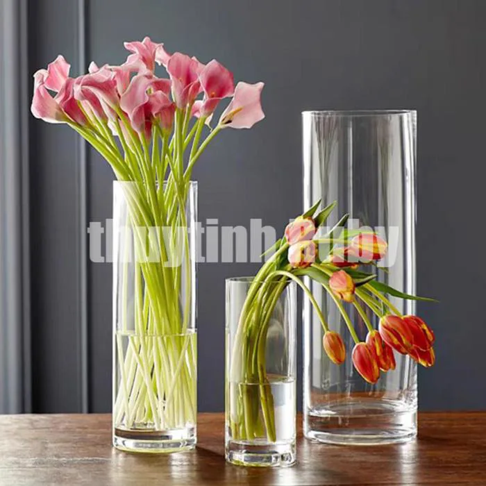 [Nhiều mẫu] Bình hoa thủy tinh trụ tròn, Lọ cắm hoa hình trụ trang trí, lọ  hoa thuỷ tinh trụ trơn, lọ thuỷ tinh decor