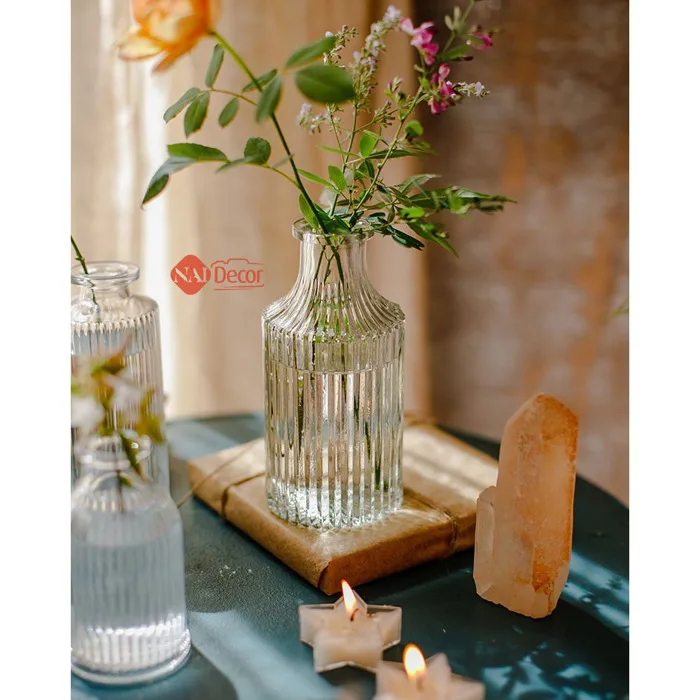 Bình Hoa Thủy Tinh Trong Suốt (Số 06) - Nai Decor