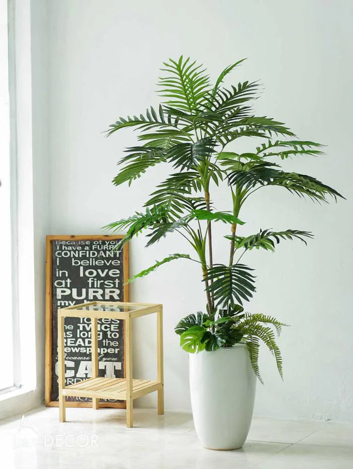 cay-decor-phong-khach-2 cay-decor-phong-khach-2