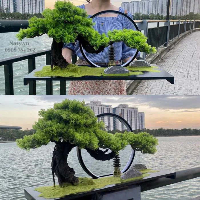 cay-gia-decor-1