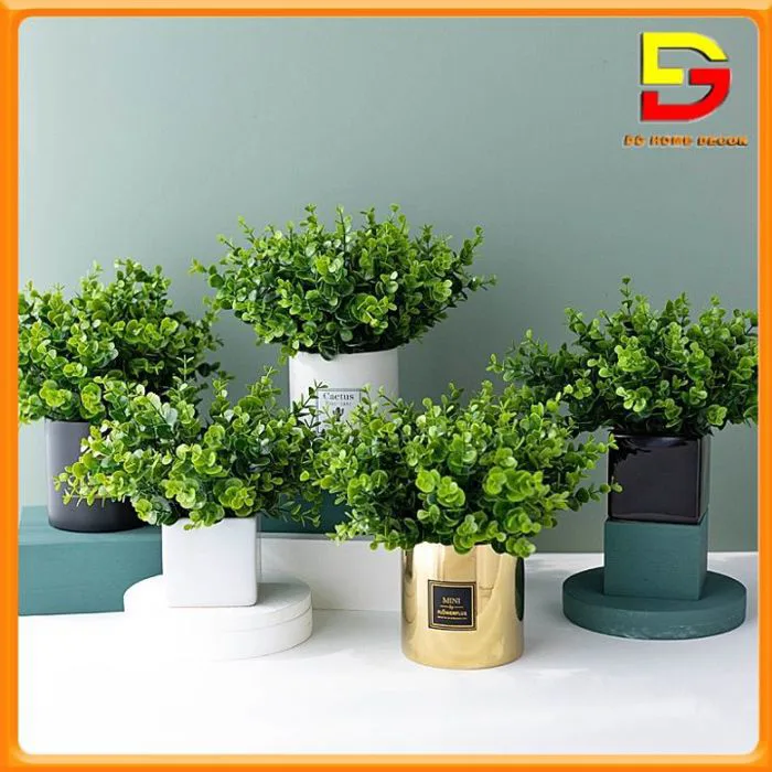 Chậu Cây Kim Tiền Xanh Cây Giả Decor Để Bàn Làm Việc Trang Trí Nhà Cửa Cao  35cm DG-61 Chậu Cây Decor Quán Cà Phê - Lazada | Lazada Việt Nam