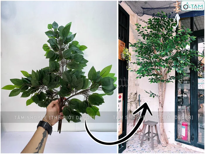 Bó nhiều cành lá si giả làm cây xanh đẹp như thật [2 loại - Bó 3/10/12  cành] CANHLA-04