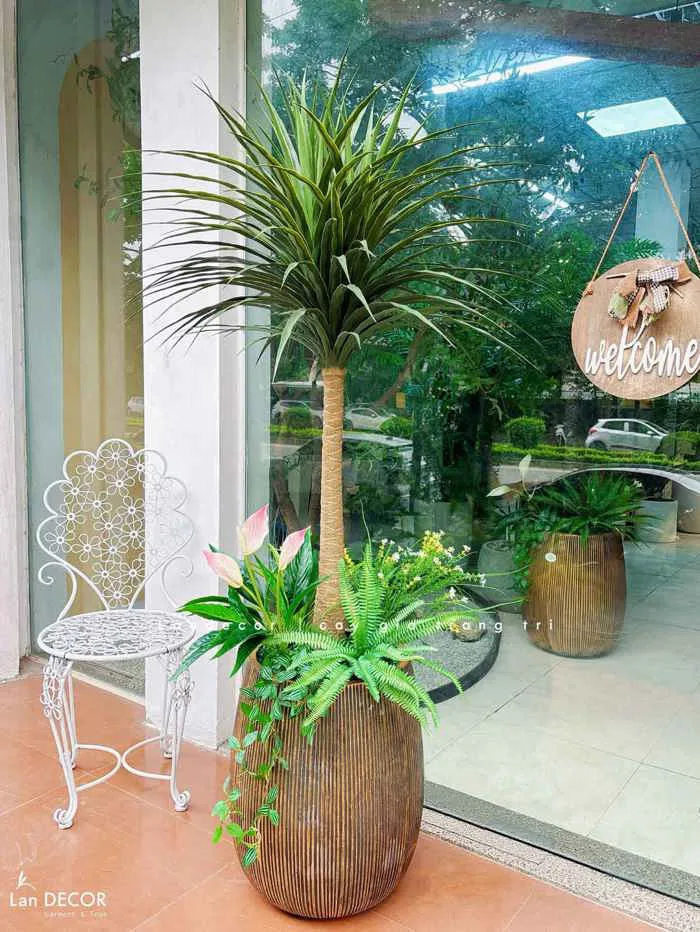 Cây Giả Decor- Cây Yucca Giả Thiết Kế Không Gian Phong Cách Hiện Đại  (150cm)- LC3638