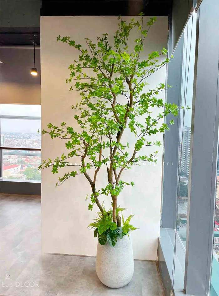 Địa chỉ cung cấp thân cây làm cây giả uy tín tại Hà Nội Sài Gòn Cây Giả  Trang Trí nhà Đẹp - Lan Decor