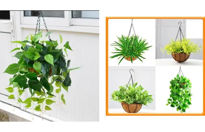 Giỏ cây giả hoa cỏ nhân tạo treo tường trang trí nhà cửa ban công tiểu cảnh  decor nhà hàng quán cà phê lớp học spa khách sạn đẹp tự nhiên Giỏ