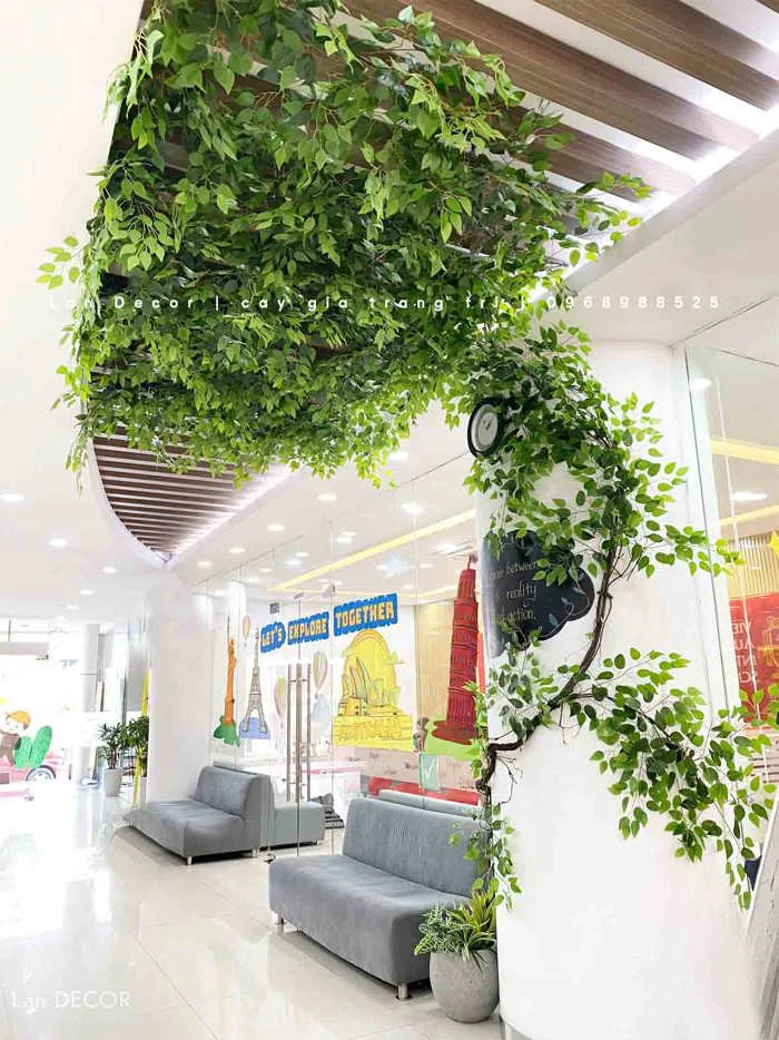 Cây dây leo giả trang trí không gian hiện đại- Công trình Trường Quốc Tế  Việt Úc Tổng Kho Sỉ Cây Giả Trang Trí Lan Decor - Giá Từ Nhà Sản Xuất