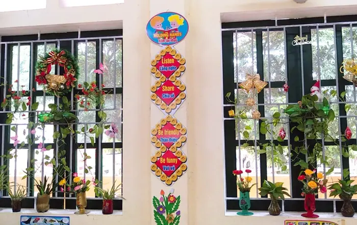 11+ Giống cây cảnh trang trí lớp học mát mẻ và đẹp nhất