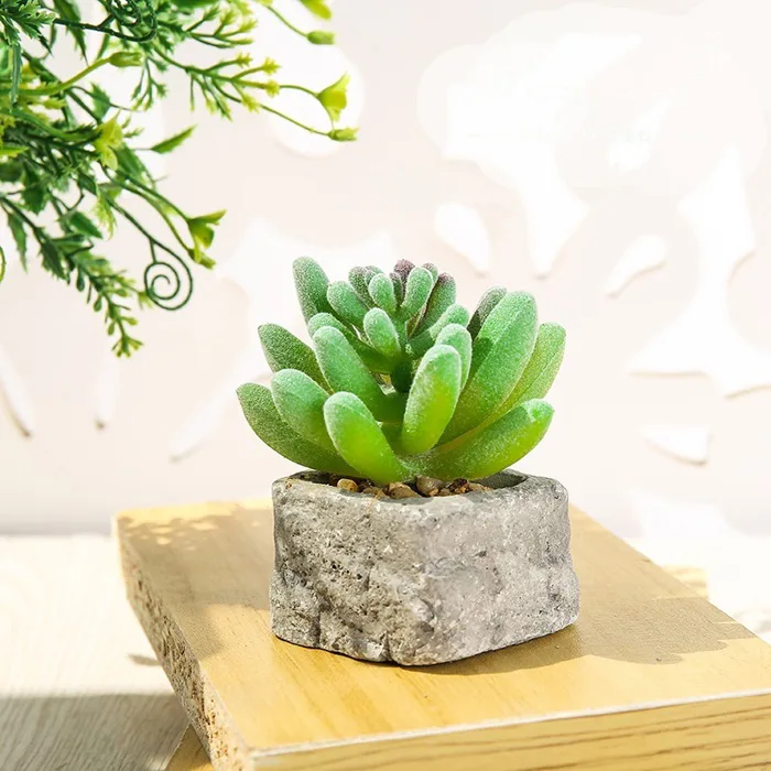 Cây sen đá, xương rồng, cây giả mini trang trí nhà cửa, decor bàn học, bàn  làm việc