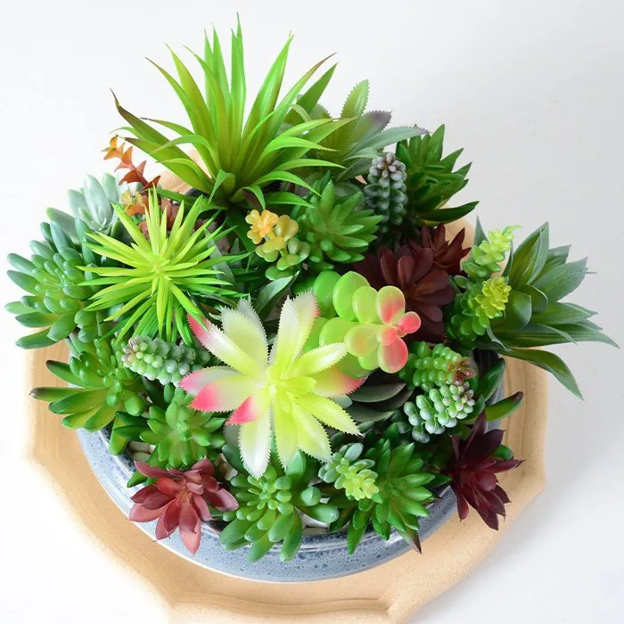 Cây sen đá, xương rồng, cây giả mini trang trí nhà cửa, decor bàn học, bàn  làm việc