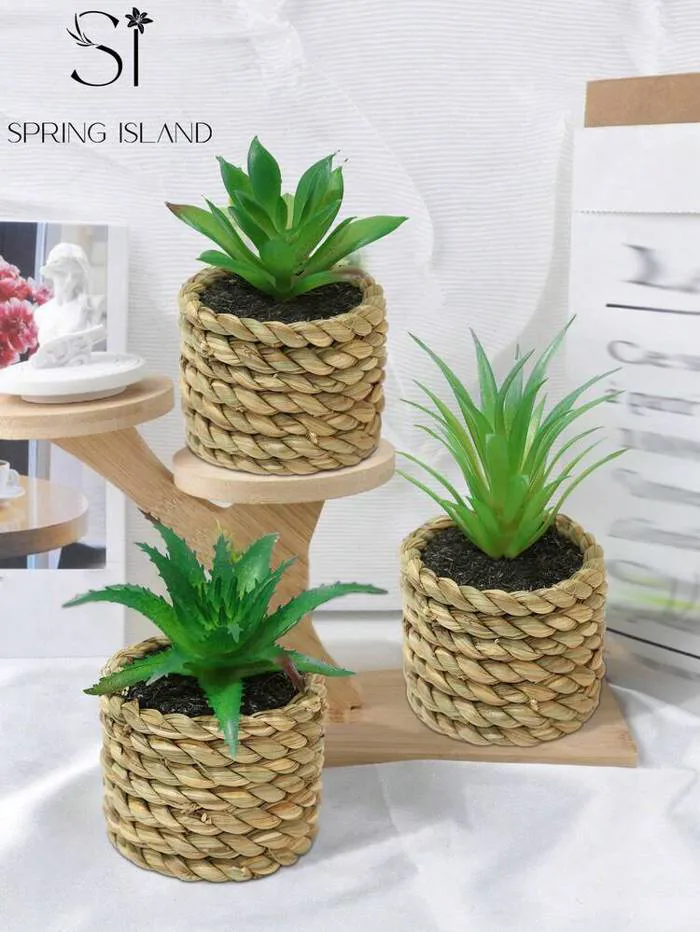 3 cây sen đá giả chậu mây nhỏ, màu xanh, chất liệu PE, sợi polyester, trang  trí bàn làm việc, trang trí trường học ký túc xá văn phòng, trang trí tiệc  sự kiện lễ hội sinh nhật, trang trí lối vào nhà ...