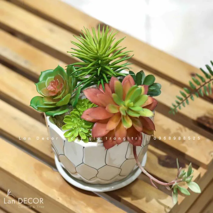 CHẬU SEN ĐÁ TRANG TRÍ NHÀ ĐẸP- CC854 Tổng Kho Sỉ Cây Giả Trang Trí Lan  Decor - Giá Từ Nhà Sản Xuất