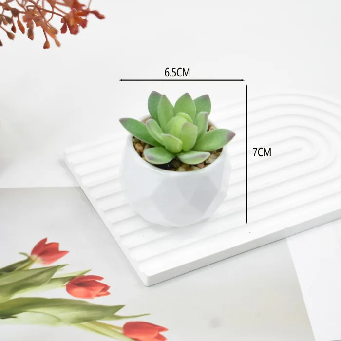 Chậu cây sen đá giả nhựa mini kèm chậu sứ sỏi thật dùng trang trí để kệ bàn  học tiện lợi bền đẹp