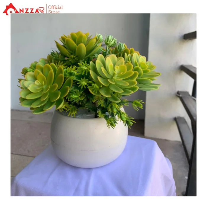 Chậu cây sen đá nhân tạo nhỏ xinh để bàn, kệ tủ decor, làm quà lưu niệm ý  nghĩa SD-05 - Anzzar Home Decor