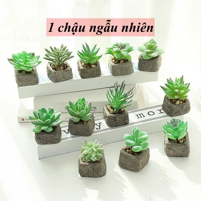 Cây sen đá, xương rồng, cây giả mini trang trí nhà cửa, decor bàn học, bàn  làm việc
