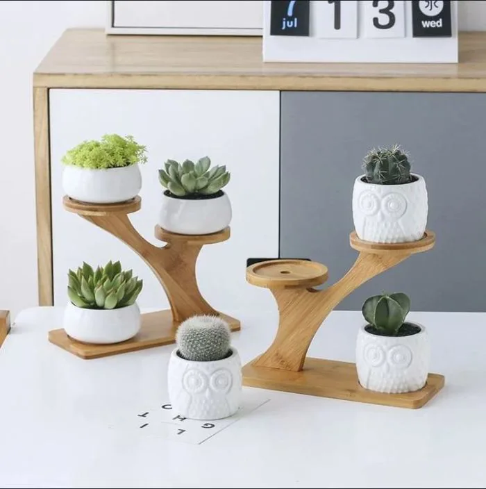 Kệ Gỗ Để Bàn Trang Trí Decor Bàn Học Bàn Làm Việc Kệ Để Chậu Cây Mini Kệ Gỗ  Để Chai Lọ Gia Vị Trên Bếp Kệ Gỗ Trang Trí Phong Cách