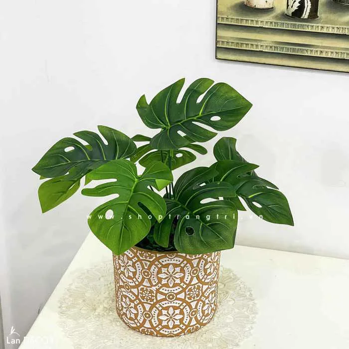 Cây để bàn (cao dưới 50cm) Cây Giả Trang Trí nhà Đẹp - Lan Decor