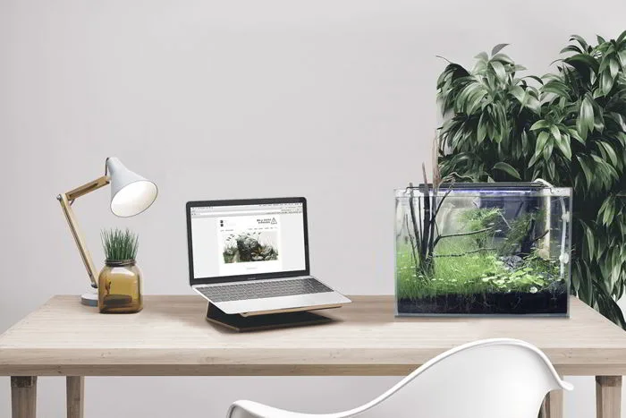 Top 11 món đồ trang trí bàn làm việc đẹp nhất năm 2021 - CafeLand.Vn