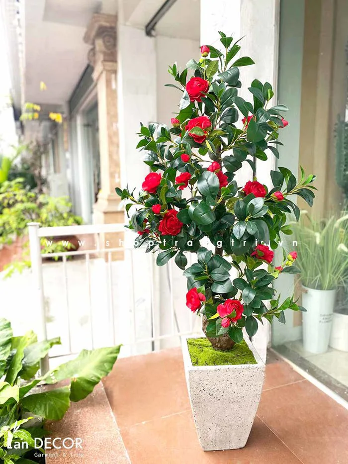 Chậu cây hoa trà đỏ trang trí nội thất Lan Decor (160cm) - CC560 Tổng Kho  Sỉ Cây Giả Trang Trí Lan Decor - Giá Từ Nhà Sản Xuất