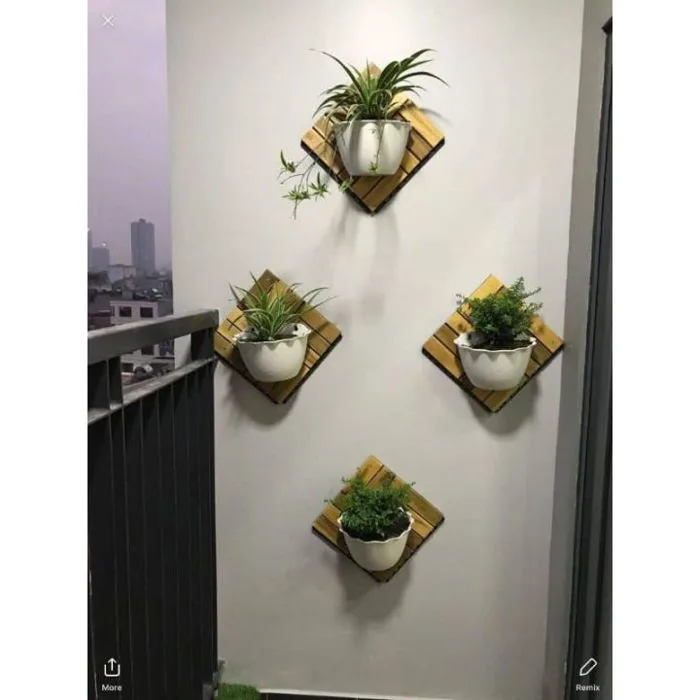 Chậu Ốp Tường - Chậu Nhựa Trồng Cây Treo Tường Decor Đẹp - 25x16x16cm P4U -  Lazada | Lazada Việt Nam