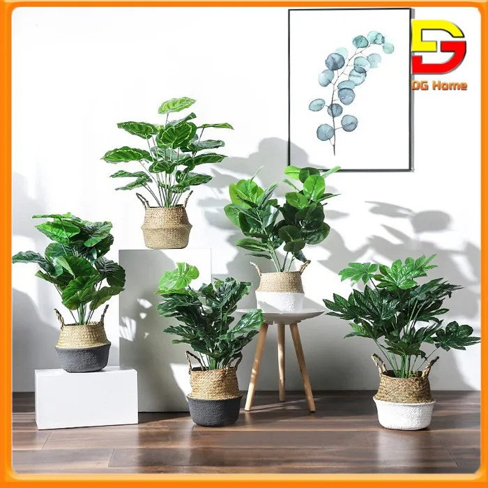 Chậu Cây Để Bàn Cây Giả Decor Trang Trí Nội Thất Văn Phòng Quán Cafe Nhiều  Mẫu Đẹp DC-30