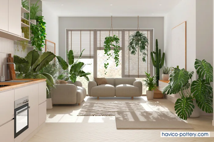 Chậu cây decor: Lợi ích, cách trang trí & mẫu đẹp nhất 2026 | Chậu  Composite Havico