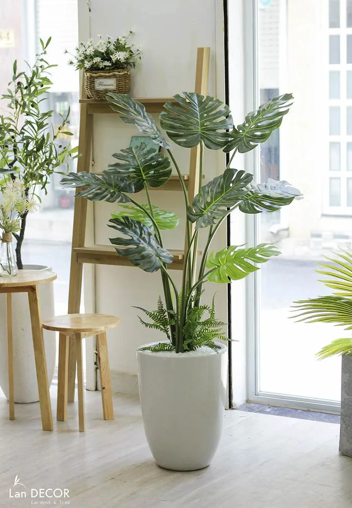 Cây lá xẻ cây monstera trang trí không gian hiện đại (120cm) - LC3024 Tổng  Kho Sỉ Cây Giả Trang Trí Lan Decor - Giá Từ Nhà Sản Xuất