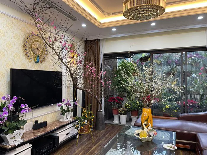 5 mẹo trang trí phòng khách ngày tết hợp phong thủy thu hút tài lộc may mắn  - DXMD Vietnam