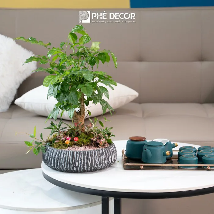 Gợi ý 8 món đồ decor giá rẻ cho mọi góc nhà “đẹp như mơ”