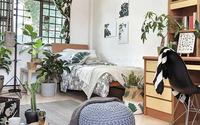 20+ Mẫu decor phòng trọ nhỏ không gác tiết kiệm và cực 