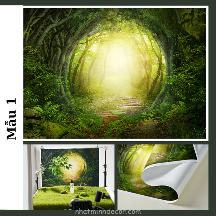 Phông Nền Chụp Ảnh Khu Rừng - Nhật Minh Decor