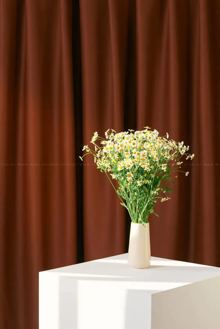Phông nền (background) chụp ảnh bằng vải | MAKI studio — MAKI Co., Ltd. |  Chụp Ảnh Sản Phẩm, Chụp Ảnh Quảng Cáo, Chụp Ảnh Món Ăn, Chụp Ảnh Profile  công ty,