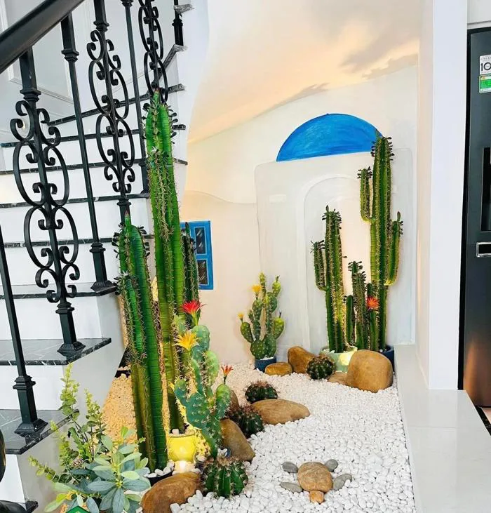 TỔNG HỢP CÁC MẪU XƯƠNG RỒNG DECOR QUÁN CAFE, VĂN PHÒNG Cây Giả Trang Trí nhà Đẹp - Lan Decor TỔNG HỢP CÁC MẪU XƯƠNG RỒNG DECOR QUÁN CAFE, VĂN PHÒNG Cây Giả Trang Trí nhà Đẹp - Lan Decor