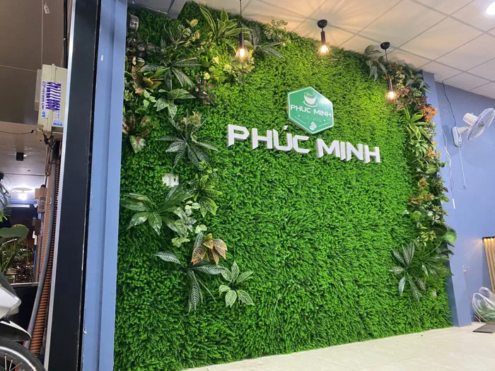 Cỏ trang trí sân vườn tại tphcm giá rẻ - LH : 0909 79 29 97