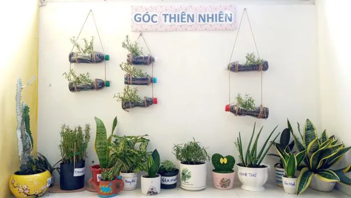 Góc cây xanh thiên nhiên tại trường mầm non song ngữ chất lượng Blue Sky  Sunview