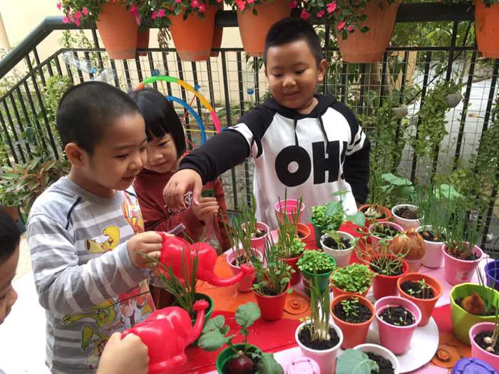 Bài thuyết trình về góc thiên nhiên - Đồ chơi mầm non Vân Anh