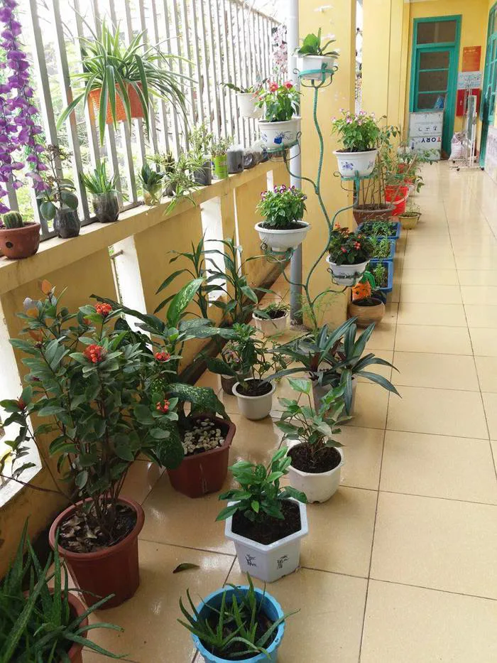 Góc thiên nhiên của bé