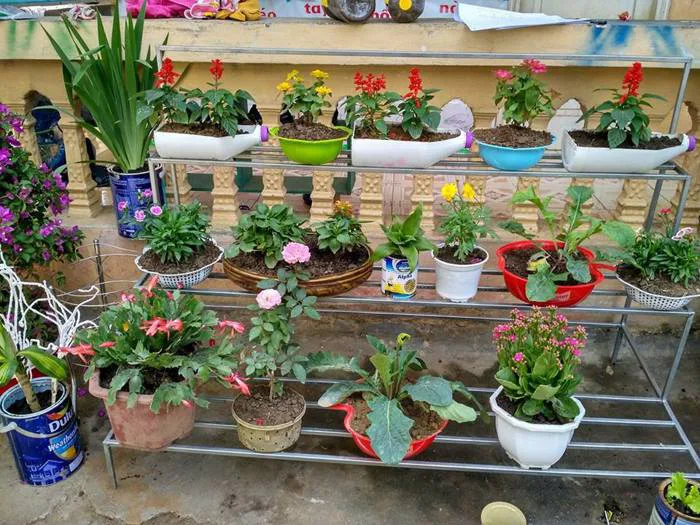 Phần thi tạo góc thiên nhiên cho trẻ hoạt động.