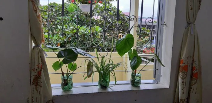 THTT: KHÔNG GIAN LỚP HỌC THÂN THIỆN TẠI TRƯỜNG TIỂU HỌC THỊ TRẤN THAN UYÊN