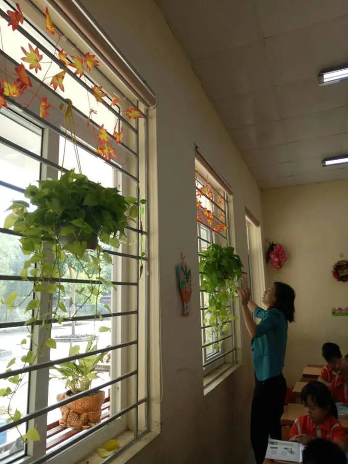 Những khoảng xanh ở trường tiểu học Thụy Lâm A