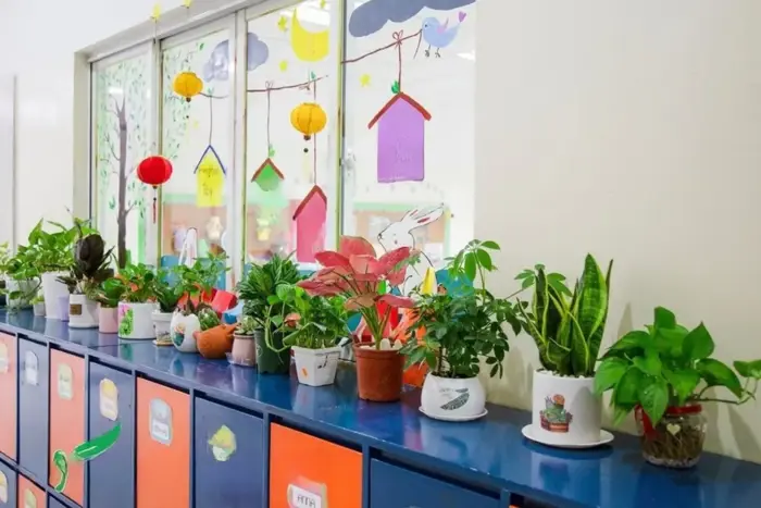 Bật mí ý tưởng trang trí lớp học tiểu học sáng tạo nhất