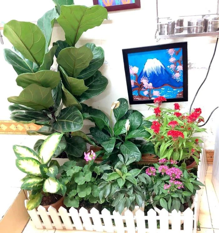 TRANG TRÍ LỚP HỌC THÂN THIỆN” MỘT LUỒNG GIÓ MỚI Ở TRƯỜNG TIỂU HỌC NGHĨA ĐÔ TRANG TRÍ LỚP HỌC THÂN THIỆN” MỘT LUỒNG GIÓ MỚI Ở TRƯỜNG TIỂU HỌC NGHĨA ĐÔ