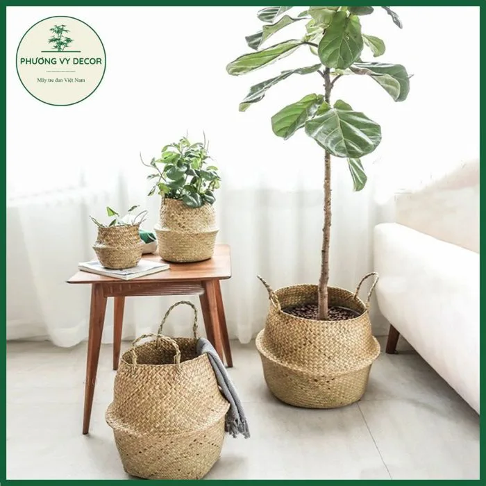Giỏ cói, túi cói đựng đồ, trồng cây decor trang trí nhà cửa full size
